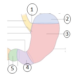 FIGURA 2